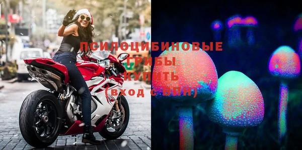 МДПВ Краснотурьинск