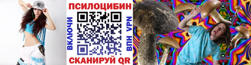 Псилоцибиновые грибы ЛСД  купить наркоту  Усть-Катав 